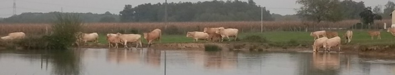 GAEC Les Mauvinières, bienvenue à la ferme!    