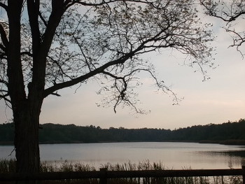 Etang des Bois Etang des Bois